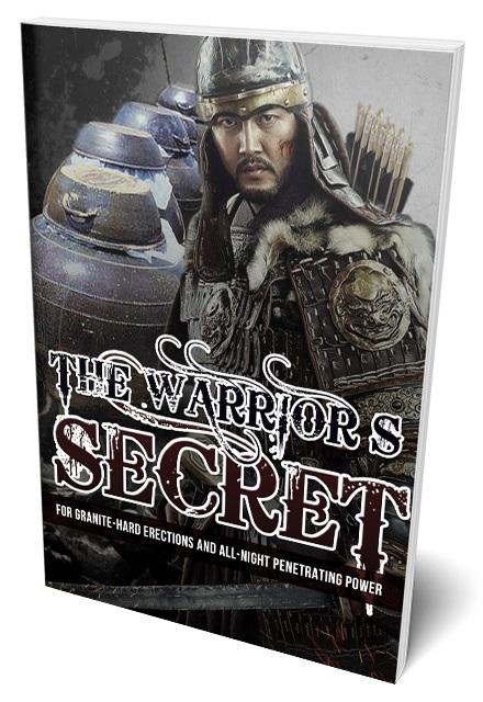 The-Warrior-s-Secret