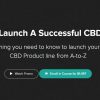 how-to-launch-a-successful-cbd-brand