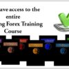 yin-yang-forex-training-program-trading-mastermind
