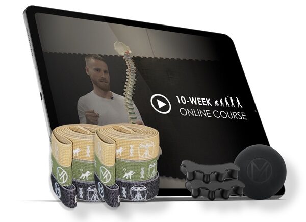human-mechanics-online-10-week-course-get-rid-of-your-pain-for-good