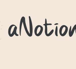 anotioneer-complete-notion-templates-bundle