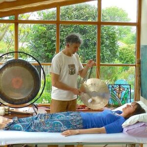 academy-of-sound-healing-level-1-certificate-foundations-of-integral-sound-healing-multi-instrument-online-course