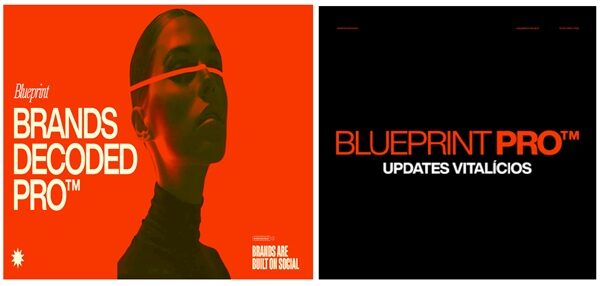 brandsdecoded-blueprintpro-lifetime-updates